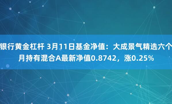 银行黄金杠杆 3月11日基金净值：大成景气精选六个月持有混合A最新净值0.8742，涨0.25%