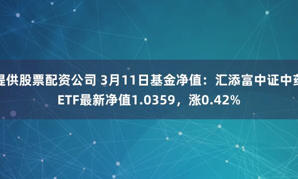 提供股票配资公司 3月11日基金净值：汇添富中证中药ETF最新净值1.0359，涨0.42%