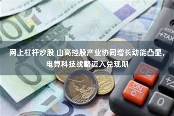 网上杠杆炒股 山高控股产业协同增长动能凸显，电算科技战略迈入兑现期