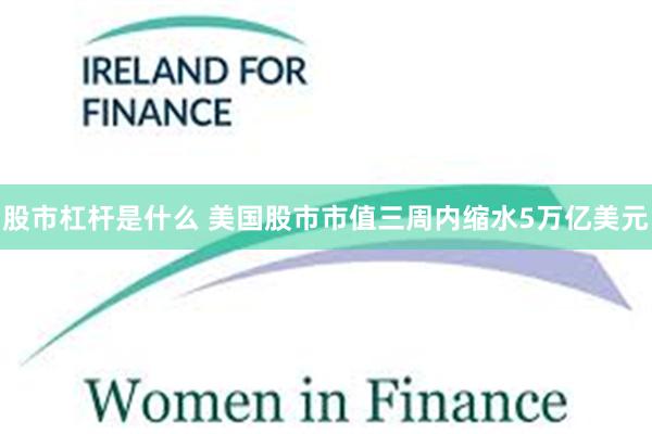 股市杠杆是什么 美国股市市值三周内缩水5万亿美元
