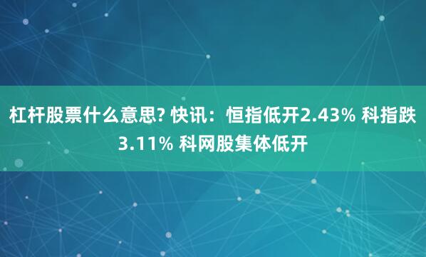 杠杆股票什么意思? 快讯：恒指低开2.43% 科指跌3.11% 科网股集体低开
