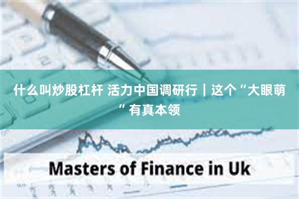 什么叫炒股杠杆 活力中国调研行｜这个“大眼萌”有真本领