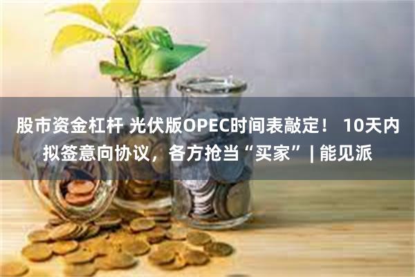 股市资金杠杆 光伏版OPEC时间表敲定！ 10天内拟签意向协议，各方抢当“买家” | 能见派
