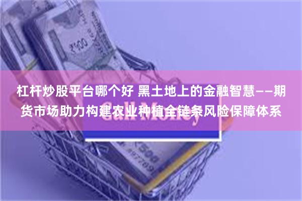 杠杆炒股平台哪个好 黑土地上的金融智慧——期货市场助力构建农业种植全链条风险保障体系
