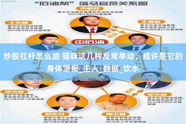 炒股杠杆怎么加 猫咪这几种反常举动，或许是它的身体警报_主人_数据_饮水