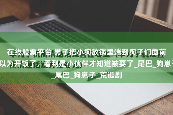 在线股票平台 男子把小狗放锅里端到狗子们面前，狗子们以为开饭了，看到是小伙伴才知道被耍了_尾巴_狗崽子_荒诞剧