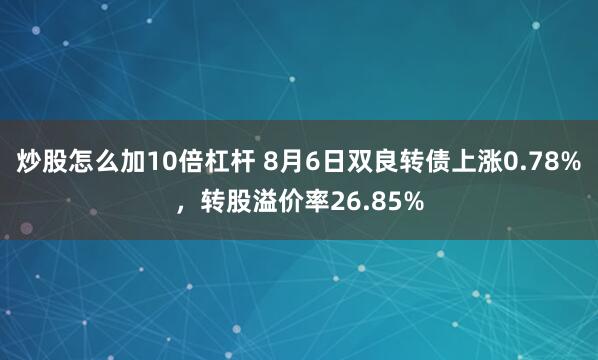 炒股怎么加10倍杠杆 8月6日双良转债上涨0.78%，转股溢价率26.85%