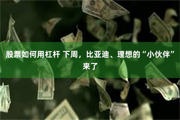 股票如何用杠杆 下周，比亚迪、理想的“小伙伴”来了