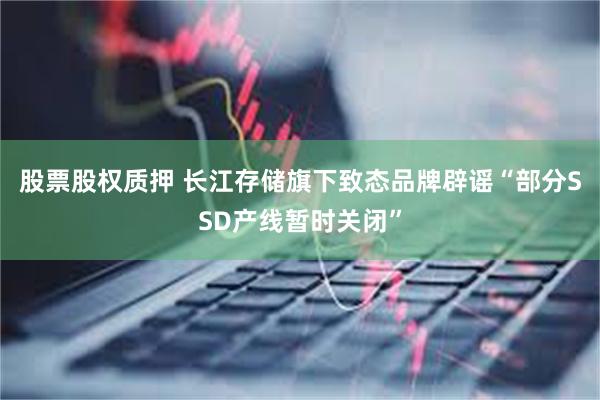 股票股权质押 长江存储旗下致态品牌辟谣“部分SSD产线暂时关闭”