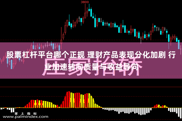 股票杠杆平台哪个正规 理财产品表现分化加剧 行业加速转向质量与收益导向