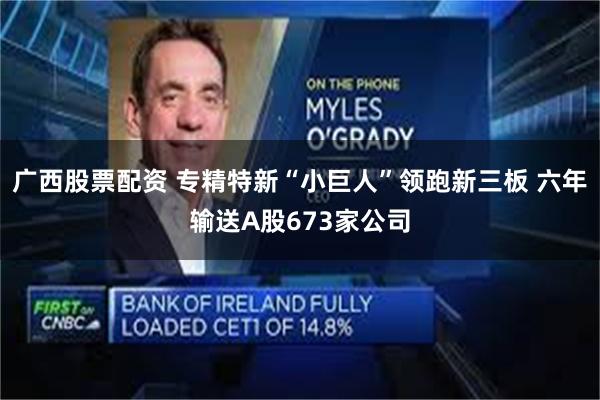 广西股票配资 专精特新“小巨人”领跑新三板 六年输送A股673家公司