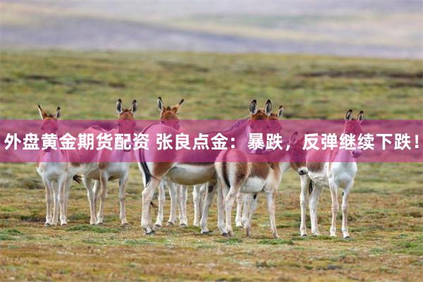 外盘黄金期货配资 张良点金：暴跌，反弹继续下跌！