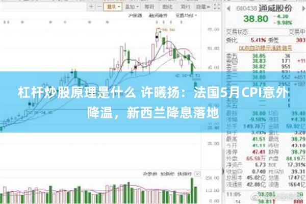 杠杆炒股原理是什么 许曦扬：法国5月CPI意外降温，新西兰降息落地