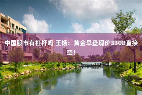 中国股市有杠杆吗 王杨：黄金早盘现价3308直接空！