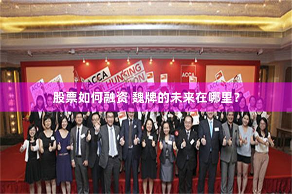 股票如何融资 魏牌的未来在哪里？