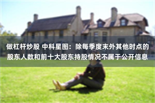 做杠杆炒股 中科星图：除每季度末外其他时点的股东人数和前十大股东持股情况不属于公开信息