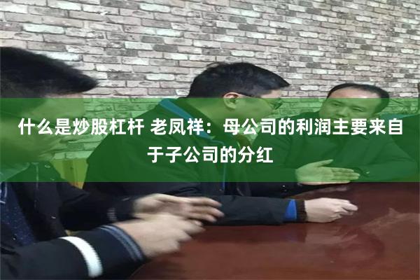 什么是炒股杠杆 老凤祥：母公司的利润主要来自于子公司的分红