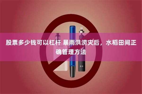 股票多少钱可以杠杆 暴雨洪涝灾后，水稻田间正确管理方法