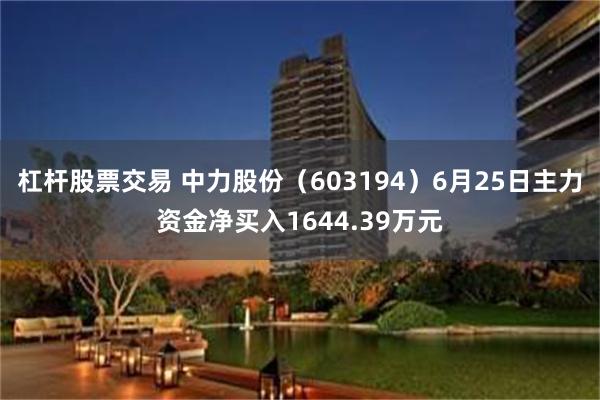 杠杆股票交易 中力股份（603194）6月25日主力资金净买入1644.39万元