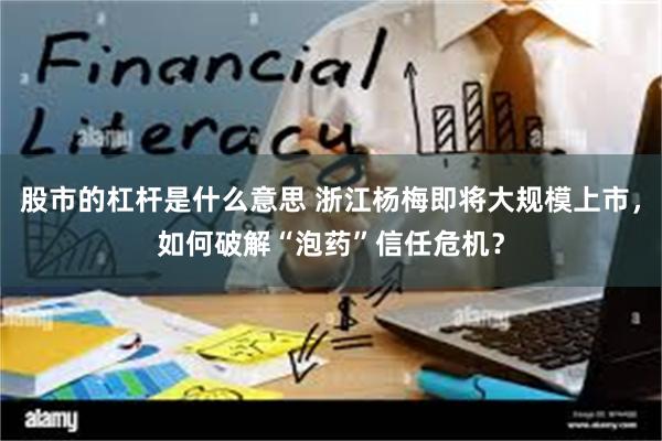 股市的杠杆是什么意思 浙江杨梅即将大规模上市，如何破解“泡药”信任危机？