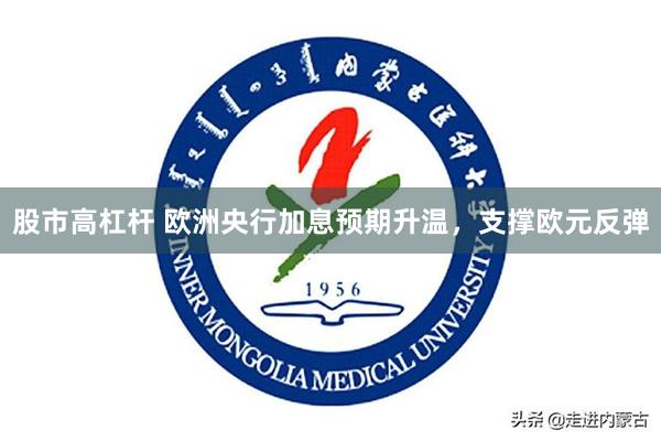股市高杠杆 欧洲央行加息预期升温，支撑欧元反弹