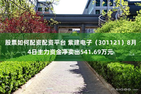 股票如何配资配资平台 紫建电子（301121）8月4日主力资金净卖出541.69万元