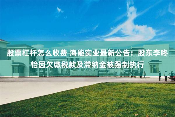 股票杠杆怎么收费 海能实业最新公告：股东李咚怡因欠缴税款及滞纳金被强制执行