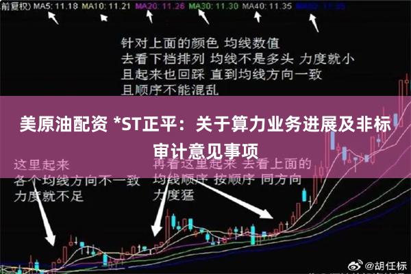 美原油配资 *ST正平：关于算力业务进展及非标审计意见事项