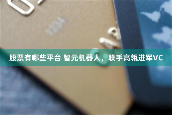 股票有哪些平台 智元机器人，联手高瓴进军VC