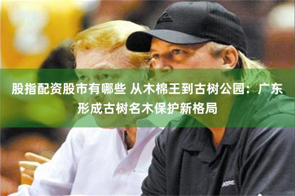 股指配资股市有哪些 从木棉王到古树公园：广东形成古树名木保护新格局