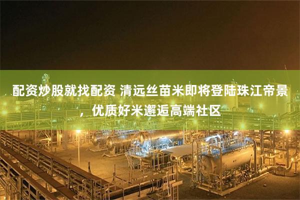 配资炒股就找配资 清远丝苗米即将登陆珠江帝景，优质好米邂逅高端社区