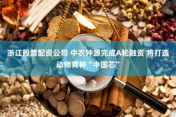 浙江股票配资公司 中农种源完成A轮融资 将打造动物育种“中国芯”