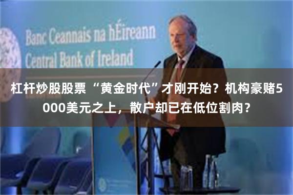 杠杆炒股股票 “黄金时代”才刚开始？机构豪赌5000美元之上，散户却已在低位割肉？