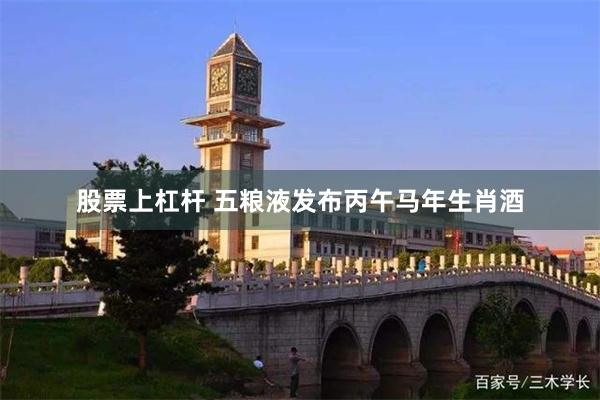 股票上杠杆 五粮液发布丙午马年生肖酒