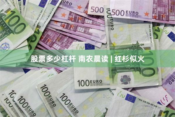 股票多少杠杆 南农晨读 | 红杉似火