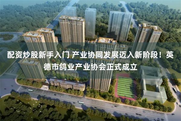 配资炒股新手入门 产业协同发展迈入新阶段！英德市鸽业产业协会正式成立