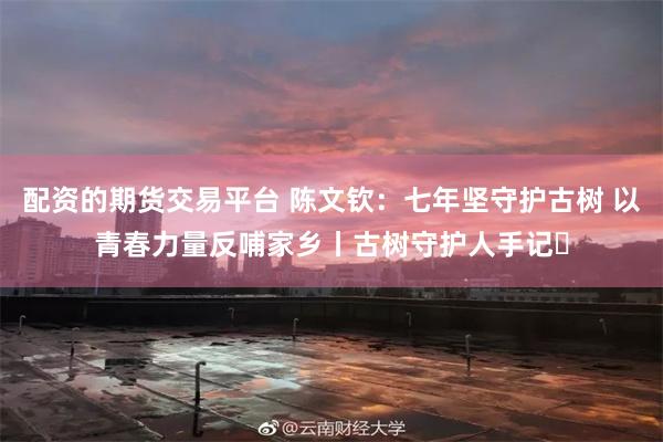 配资的期货交易平台 陈文钦：七年坚守护古树 以青春力量反哺家乡丨古树守护人手记⑮