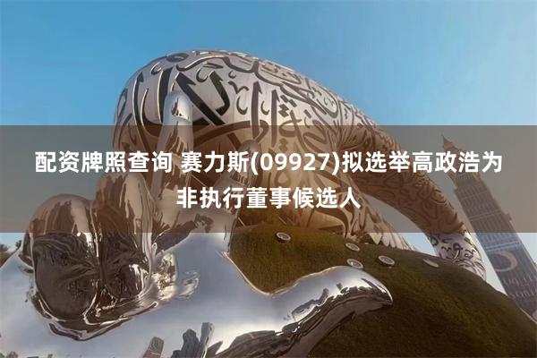 配资牌照查询 赛力斯(09927)拟选举高政浩为非执行董事候选人