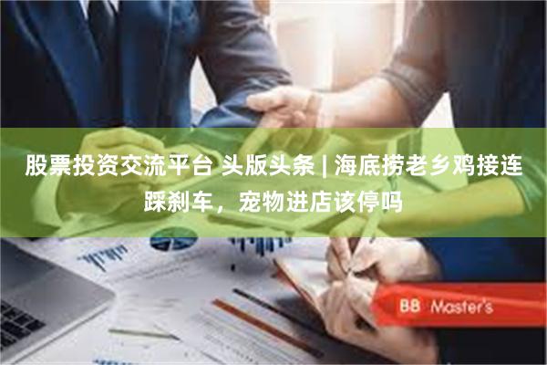 股票投资交流平台 头版头条 | 海底捞老乡鸡接连踩刹车，宠物进店该停吗