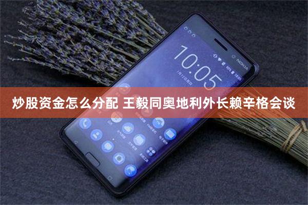 炒股资金怎么分配 王毅同奥地利外长赖辛格会谈