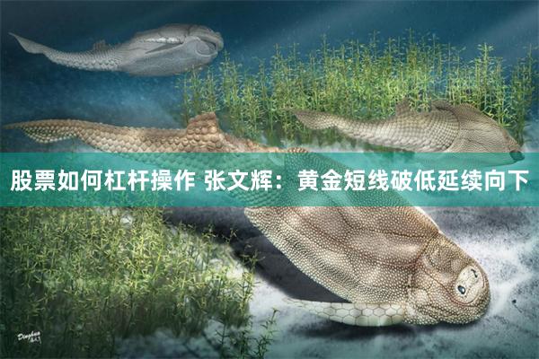股票如何杠杆操作 张文辉：黄金短线破低延续向下