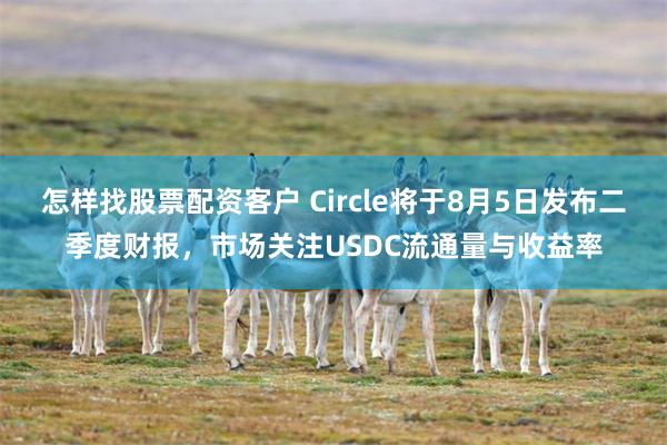 怎样找股票配资客户 Circle将于8月5日发布二季度财报，市场关注USDC流通量与收益率