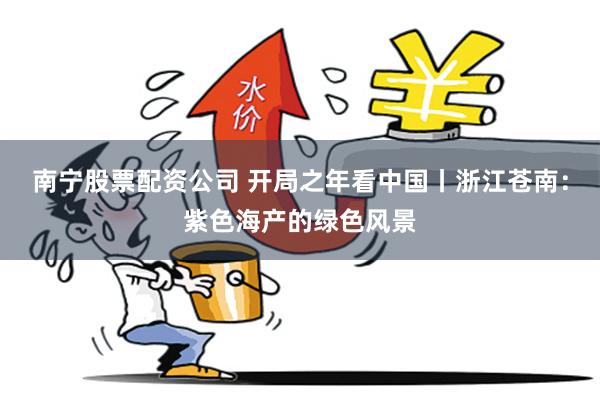 南宁股票配资公司 开局之年看中国丨浙江苍南：紫色海产的绿色风景