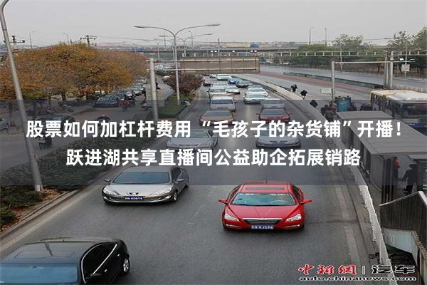 股票如何加杠杆费用 “毛孩子的杂货铺”开播！跃进湖共享直播间公益助企拓展销路