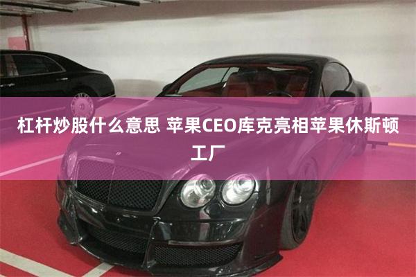 杠杆炒股什么意思 苹果CEO库克亮相苹果休斯顿工厂