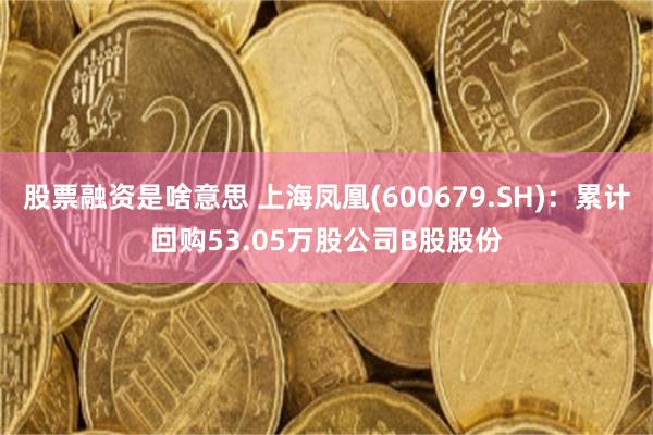 股票融资是啥意思 上海凤凰(600679.SH)：累计回购53.05万股公司B股股份