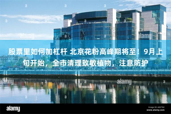 股票里如何加杠杆 北京花粉高峰期将至！9月上旬开始，全市清理致敏植物，注意防护