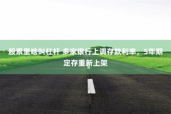 股票里啥叫杠杆 多家银行上调存款利率，5年期定存重新上架