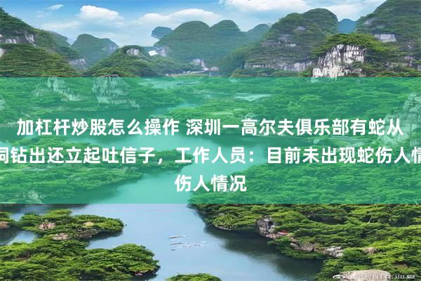 加杠杆炒股怎么操作 深圳一高尔夫俱乐部有蛇从球洞钻出还立起吐信子，工作人员：目前未出现蛇伤人情况