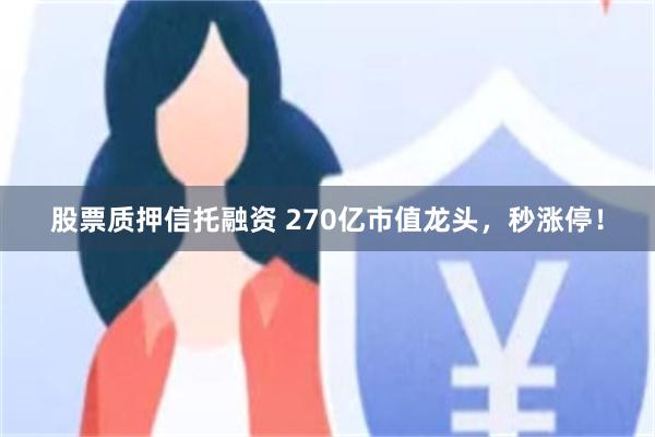 股票质押信托融资 270亿市值龙头，秒涨停！